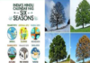 இந்தியாவில் மட்டும் ஆறு பருவங்கள்-Seasons